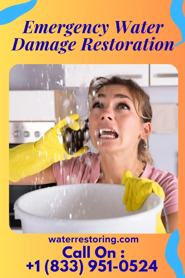 Emergency Water Damage Restoration in Chevy Chase Heights, PA