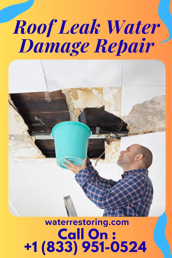 Roof Leak Water Damage Repair in Chevy Chase Heights, PA