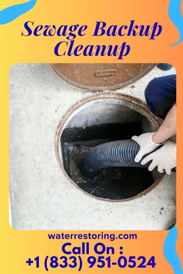 Sewage Backup Cleanup in Chevy Chase Heights, PA