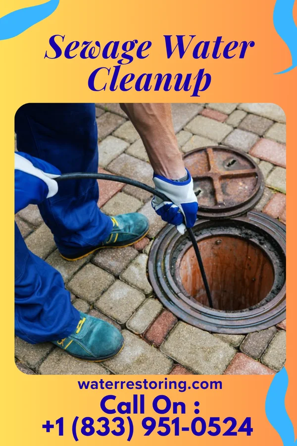 Sewage Water Cleanup in Chevy Chase Heights, PA